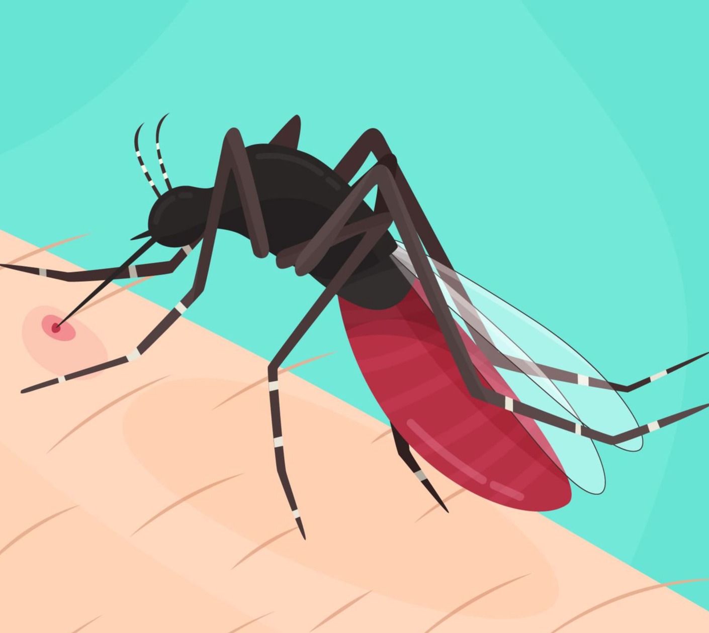 Integra IT • Texto e imagen